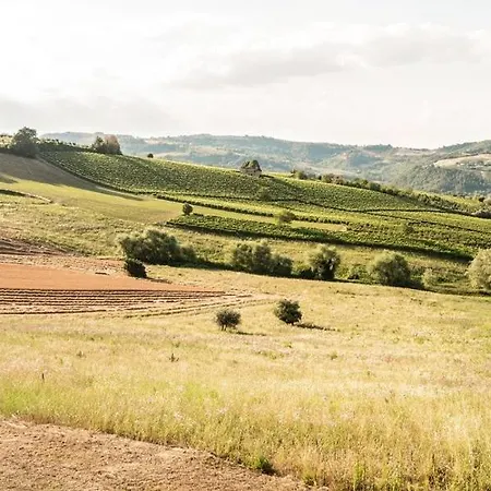 Con Piscina, Relax E Natura Nelle Marche By Wehostyou * Montedinove